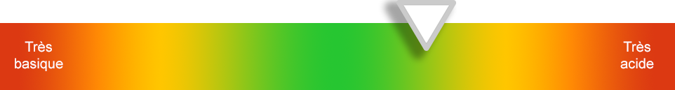 Illustration de l'indice pral du baudroie rousse ou lotte, crue